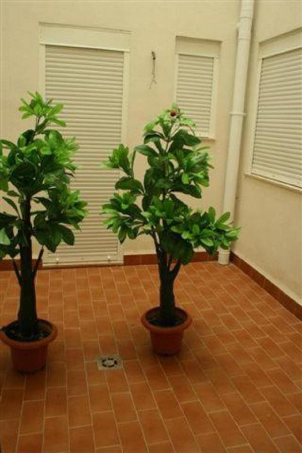 Apartamento Columbretes Les Cases d'Alcanar Zewnętrze zdjęcie